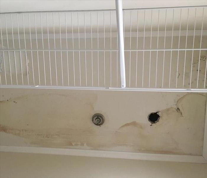 Mold after water damage 