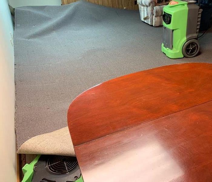 Restoring Carpet